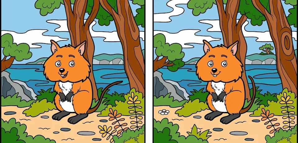 Spot The 5 Differences Between The Two Pictures Answer - BEST GAMES